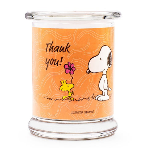 Raumdüfte von Peanuts Candles jetzt online kaufen | AlletDufte.de