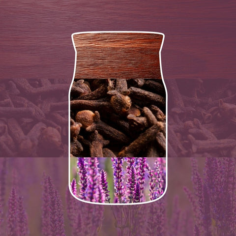 Raumdüfte von Yankee Candle jetzt online kaufen | AlletDufte.de