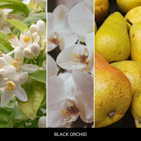 Mr&Mrs Fragrance – Niki – Black Orchid – Nachfüller – Bild 2