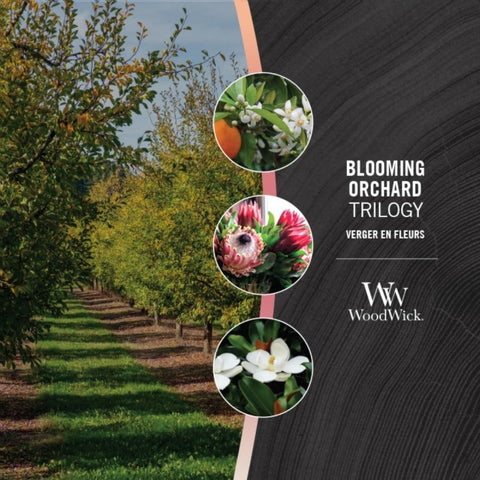 WoodWick - Blooming Orchard Trilogy - Duftkerze groß - 610g