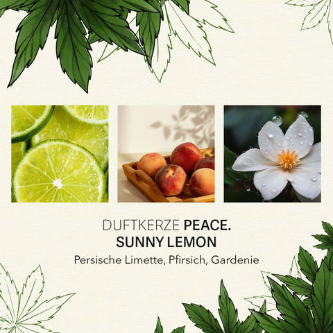 Candle Brothers - PEACE - Sunny Lemon - C.B.D. - Duftkerze - 350g