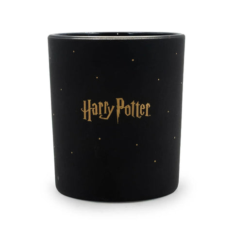 Harry Potter™ - Hogwarts Black - Duftkerze - 135g