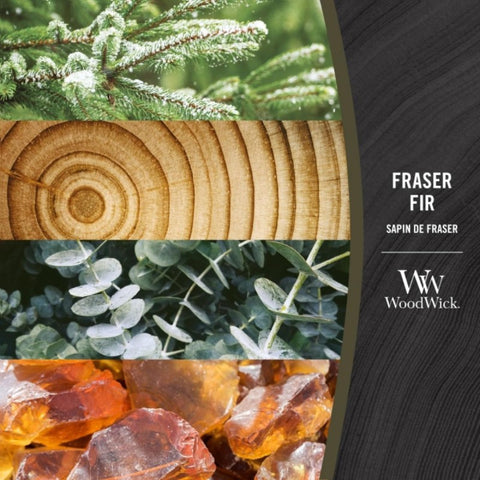 WoodWick - Frasier Fir - Duftkerze groß - 610g