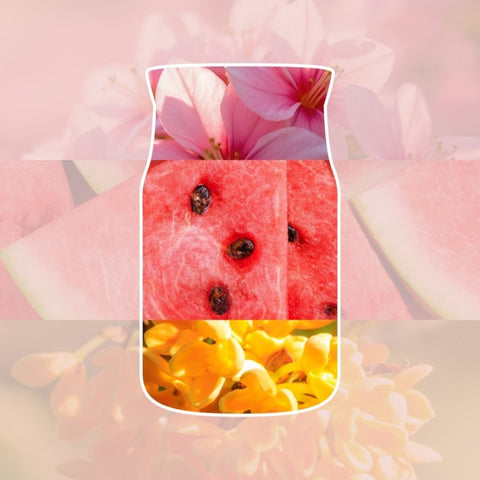 Raumdüfte von Yankee Candle jetzt online kaufen | AlletDufte.de