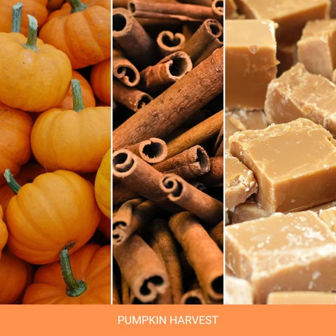 Yankee Candle - Pumpkin Harvest - Duftkerze - 104g