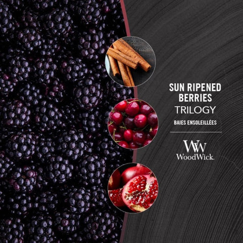 WoodWick - Sun Ripened Berries Trilogy - Duftkerze groß - 610g