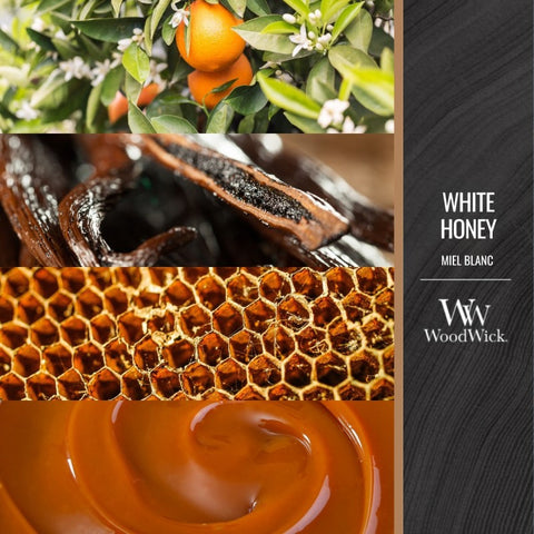 WoodWick - White Honey - Duftkerze klein - 85g
